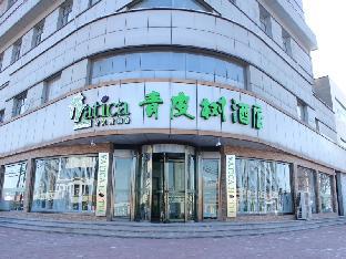 Vatica Tianjin Jinghai Bus Station Home World Plaza Hotel,,3 star