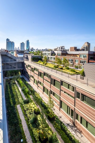 pod brooklyn