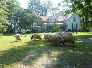 Mulberry Lavender Farm And B&B,Lynchburg>>Fayetteville,3 star