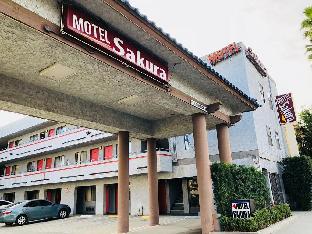 motel sakura adults only