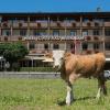 Jungfrau Hotel,Canton Of Bern>>Bern,3 star