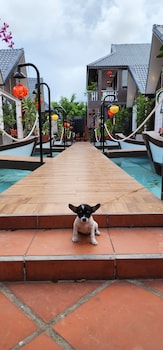 Hoi An Coco Bungalows,Dien Ban>>Da Nang,4 star