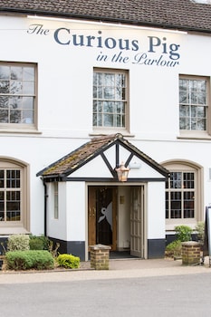 the curious pig in the parlour
