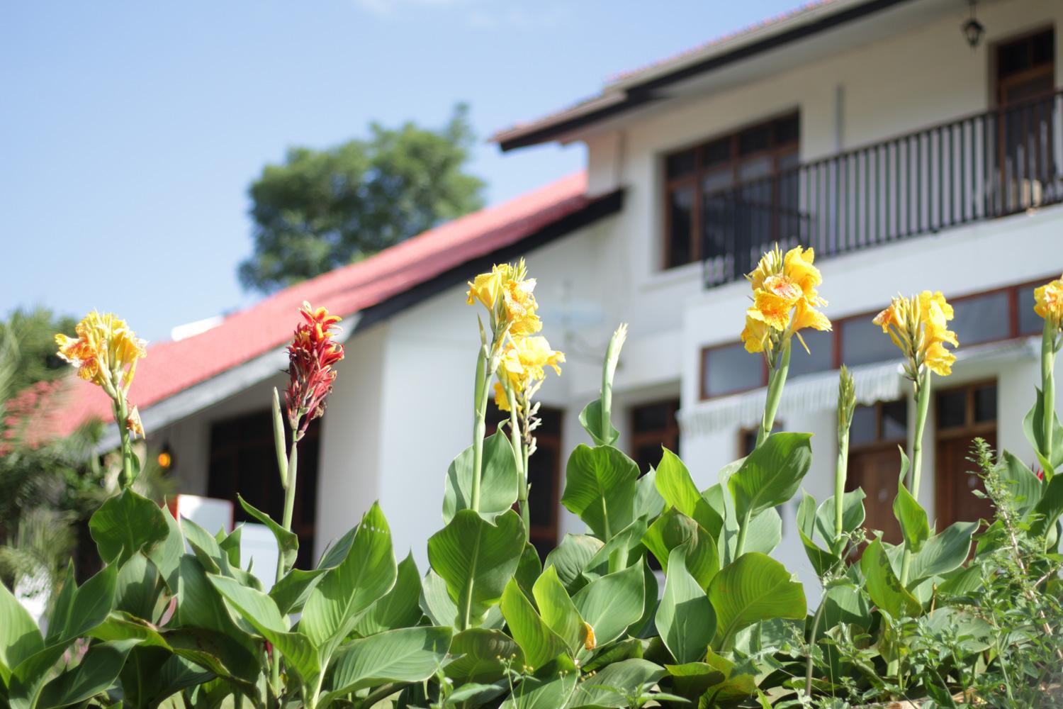 Boulevard Inn Mt Meru,Tanzania>>Arusha,3 star