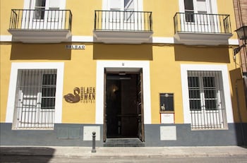 black swan hostel sevilla