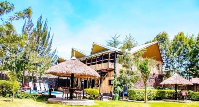 dove nest lodge
