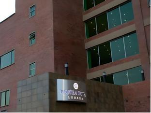 Protea Hotel Lusaka Tower,Pakati Sunday Market>>Lusaka,4 star