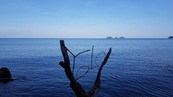 Kohchang7 Guest House,Ko Chang>>Ban Bang Bao,2.5 star