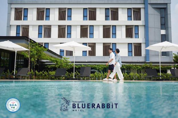 blue rabbit hotel