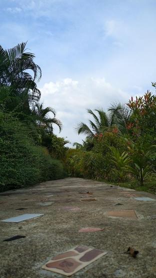 Baan Mek Lom,Khao Lak Beach>>Khao Lak,3 star