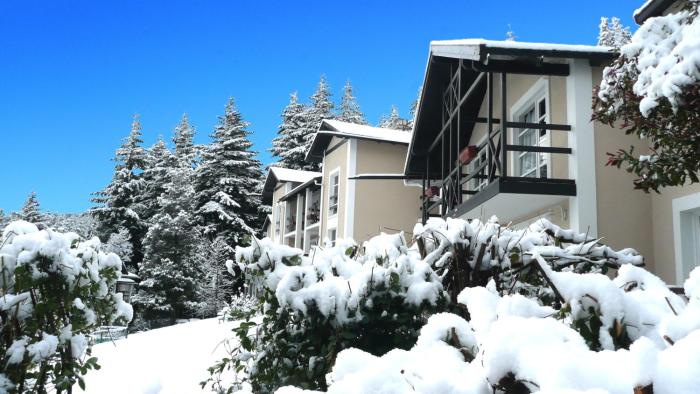 aldea andina hotel and spa