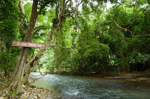 Our Jungle Camp Eco Resort,Khlong Sok>>Khao Sok National Park,3 star