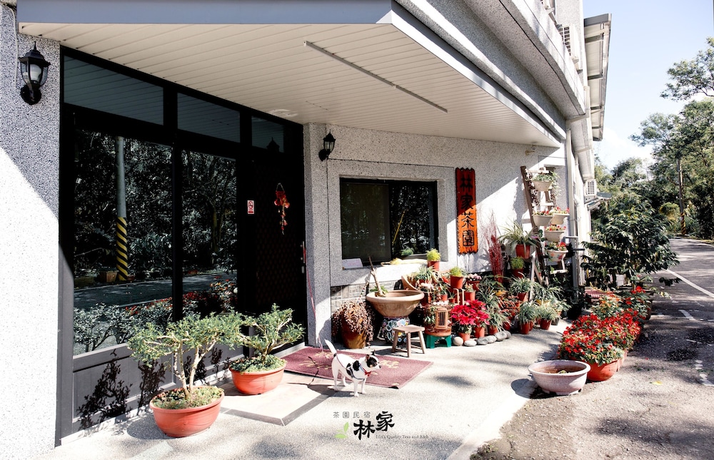 lin tea bandb
