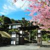yokohama fujiyoshi izuten