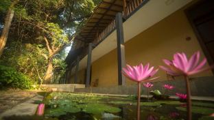 Pinthaliya Resort & Spa,Dambulla>>Avudangawa,4 star