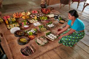 amuna ayurvedic retreat