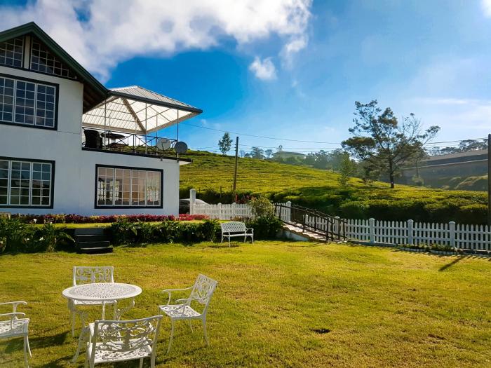 the tea garden