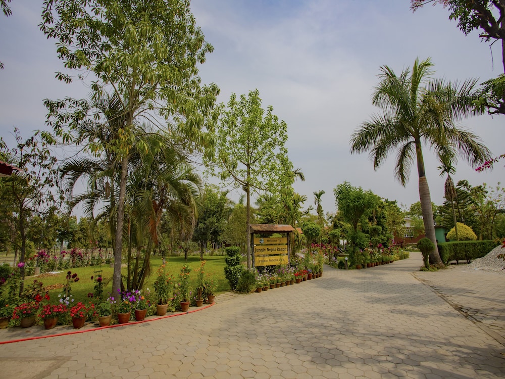 Jungle Nepal Resort,Near Elephant Breeding Centre,3 star