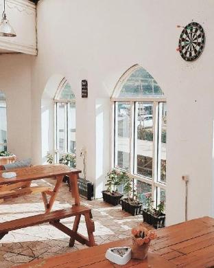 Tani Jiwo Hostel,Dieng>>Banjarnegara,3 star