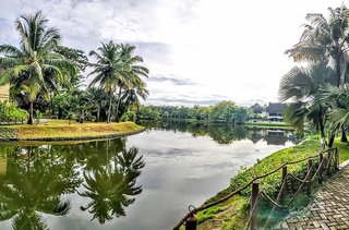 the zuri kumarakom kerala resort and spa