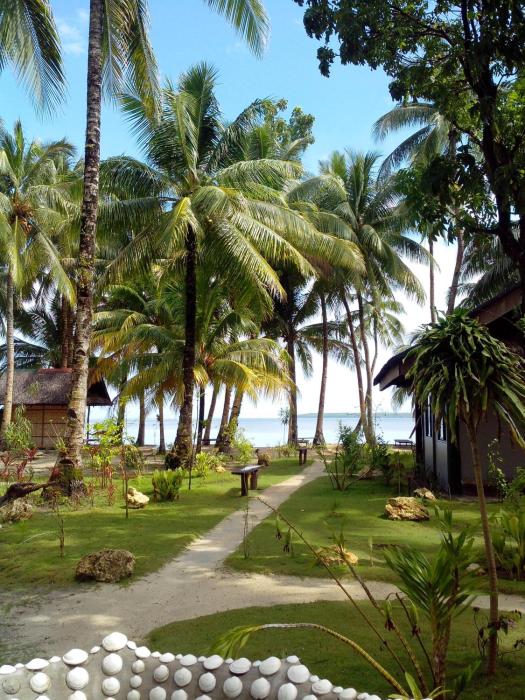 eddies beach resort siargao