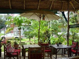 day night bungalow and bar