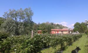 Agriturismo Terra E Lago D'iseo,Lombardy>>Brescia,3 star