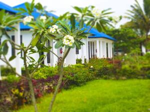Kigwedeni Villas,Nungwi>>Kaskazini A,3 star