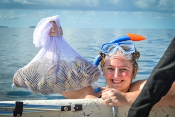 Holiday Inn Express Crystal River By Ihg,Crystal River>>Citrus County,3 star