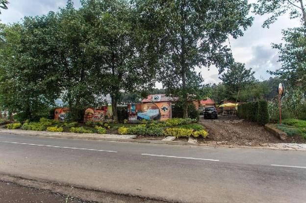 Buffalo Mountain Lodge,Musanze>>Kinigi,2.5 star