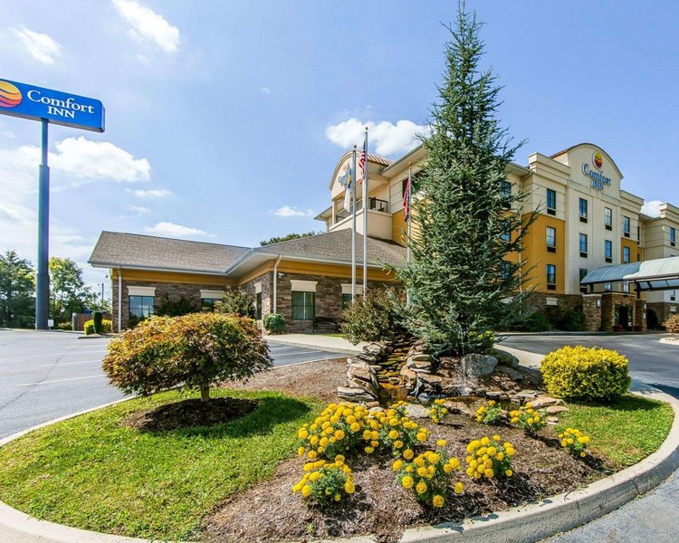 comfort inn athens