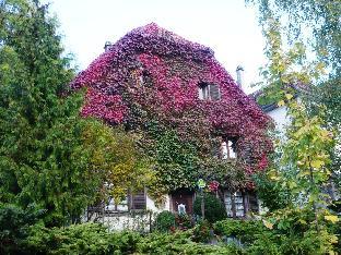 Maison Des 5 Temps,Belfort>>Basel,3 star
