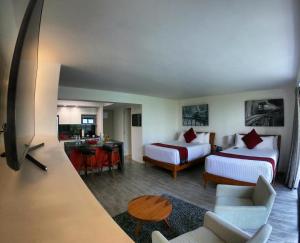 Armonik Suites,Rio Nazas 168,3 star