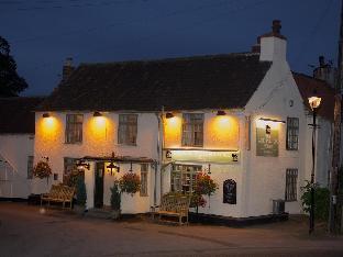 The Wellington Heifer,Brompton>>Billingham,3.5 star