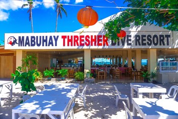 Mabuhay Thresher Dive,Daanbantayan>>Cebu,2.5 star
