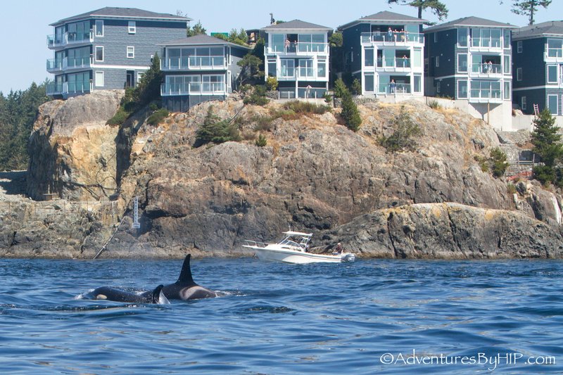 Sookepoint Ocean Cottage Resort,Sooke>>Gowlland Tod Provincial Park,4 star