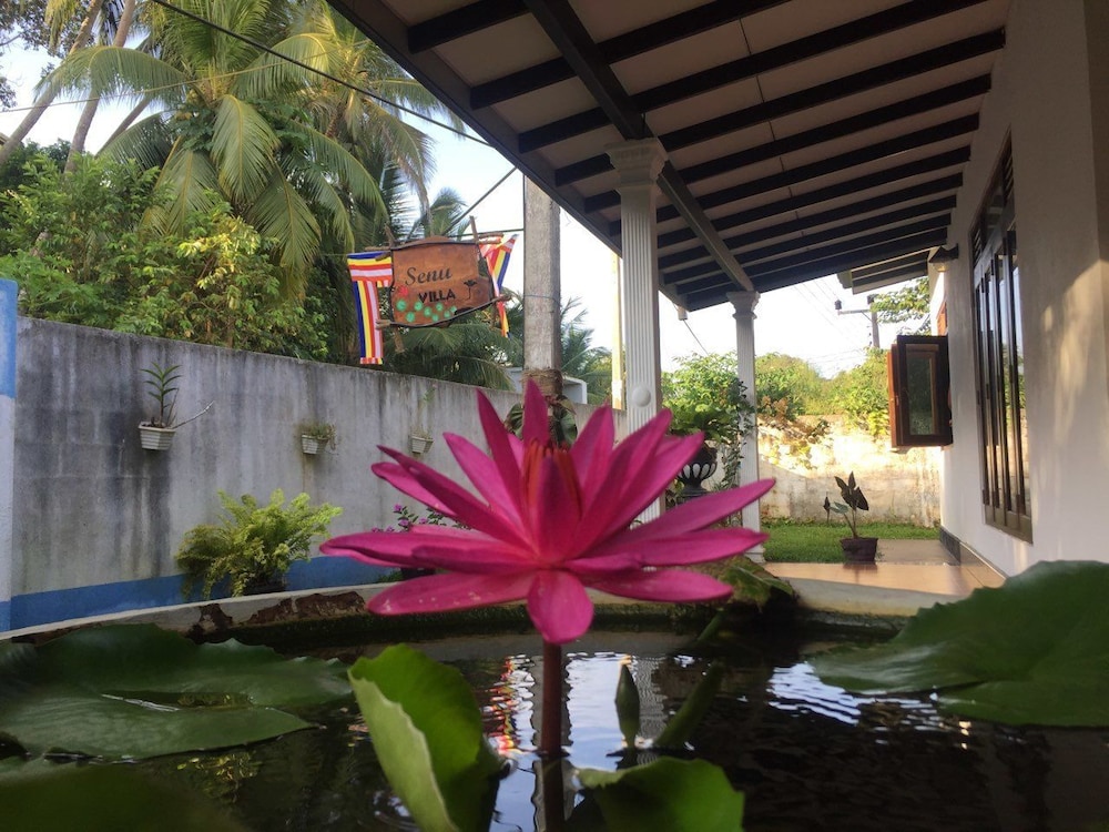 Senu Villa,Bope-Poddala>>Akmeemana,3.5 star