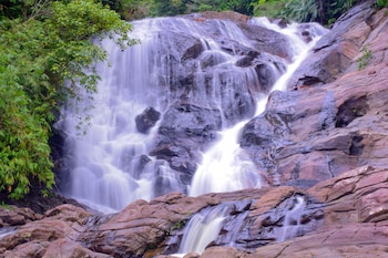 Sinharaja Forest Gate,Kotapola>>Deniyaya,3.5 star