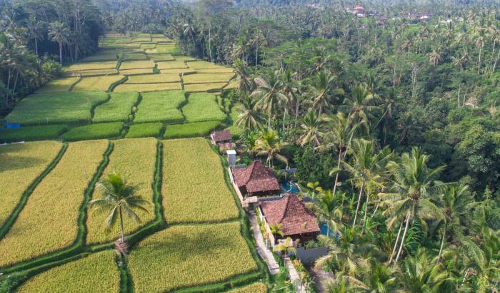 mandana ubud villa