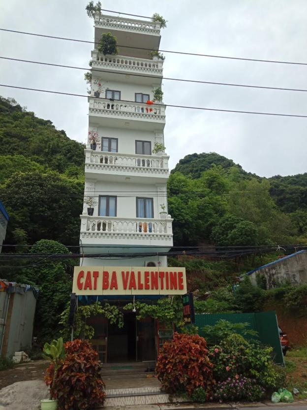 cat ba valentine hotel