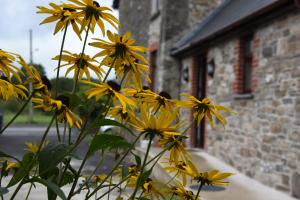 Melin Tregib,Cyngor Bro Dyffryn Cennen>>Carmarthenshire,3 star