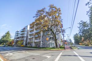 Solo Suites,Langford>>Brentwood Bay,0 star