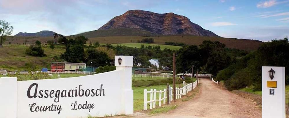 Assegaaibosch Country Lodge,Kareedouw>>Cacadu,4 star