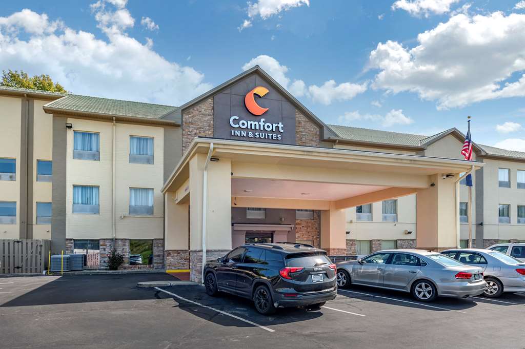 comfort inn and suites