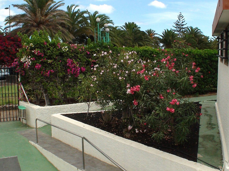 bungalows dona rosa