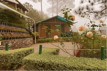The Cocoon Camps & Nature Resorts,Pangot>>Nainital,3 star