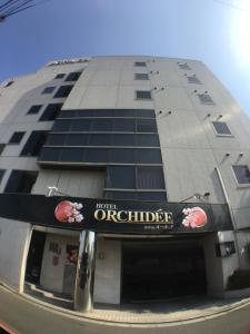 hotel orchid adult only