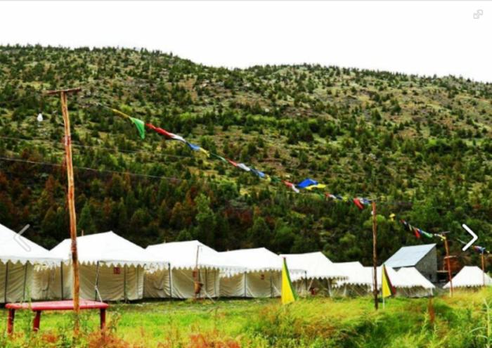 tih himalayan shakia camp sarchu