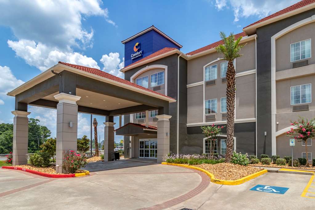 comfort inn and suites