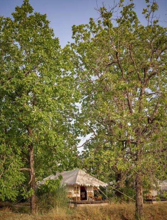 bagh villas i kanha